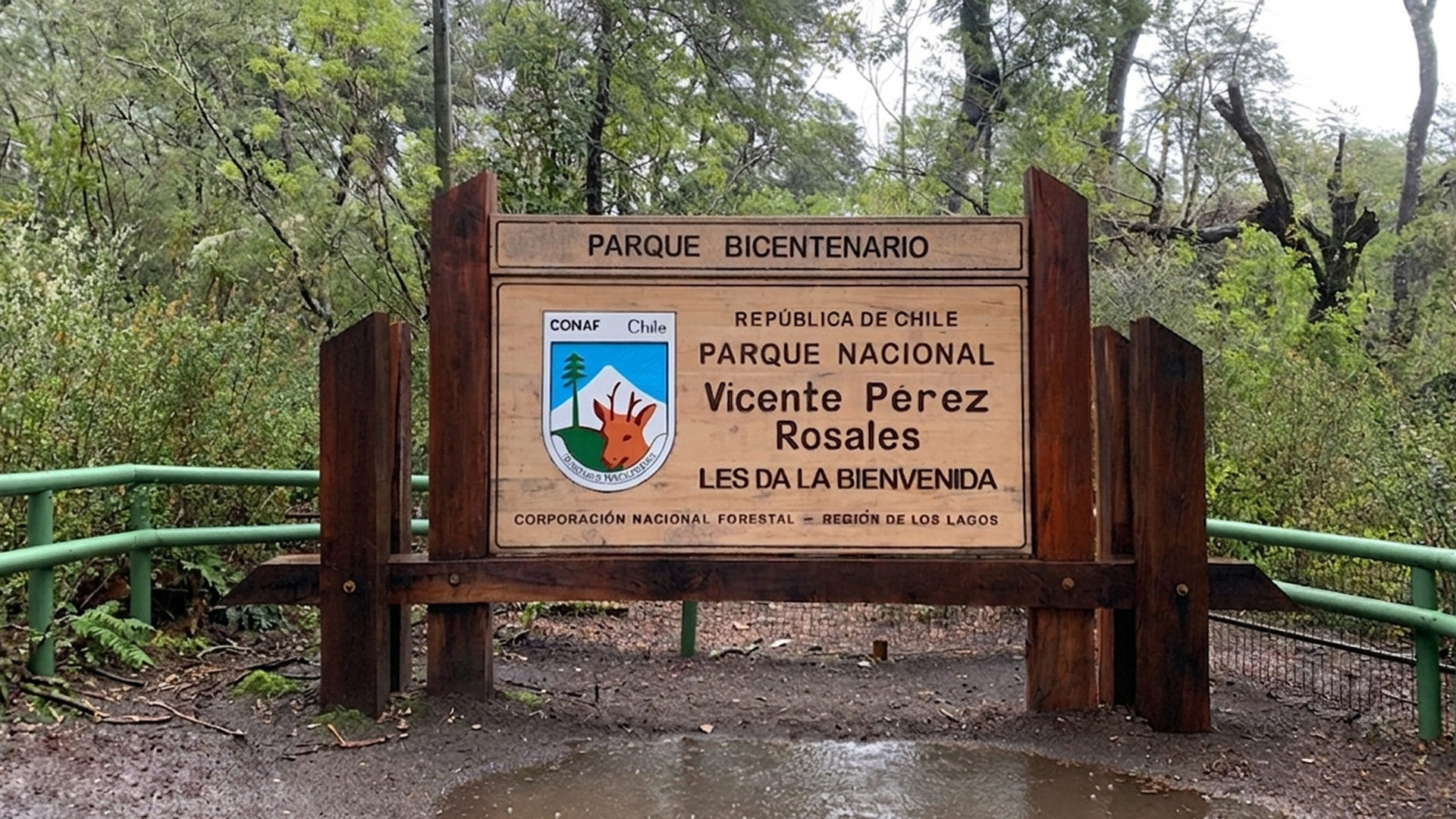 Parques nacionales de Los Lagos reabrieron tras el paso del sistema frontal