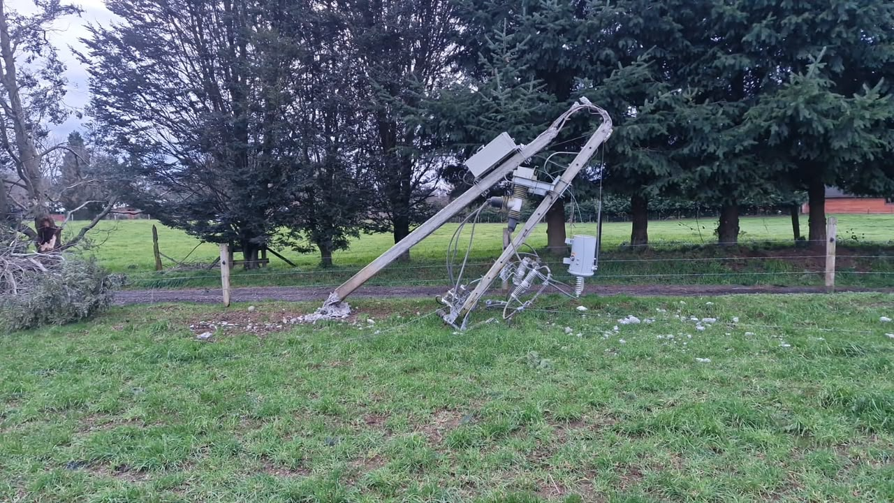 Saesa concentra trabajos de reposición en Pto Montt, Calbuco, Pto Varas, Frutillar y Maullín