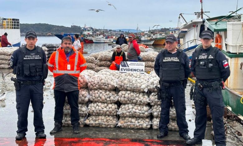 Incautan 1.500 kilos de almejas con veneno paralizante en Quellón