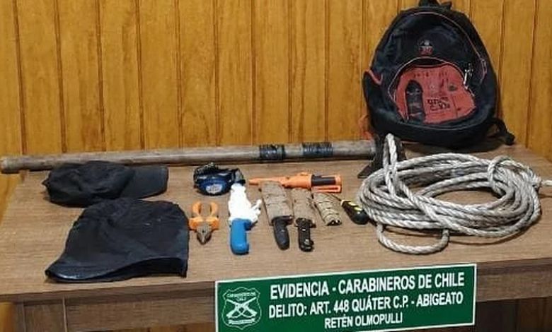 Vecinos alertan a Carabineros y permiten detener a cinco sospechosos de abigeato en Maullín