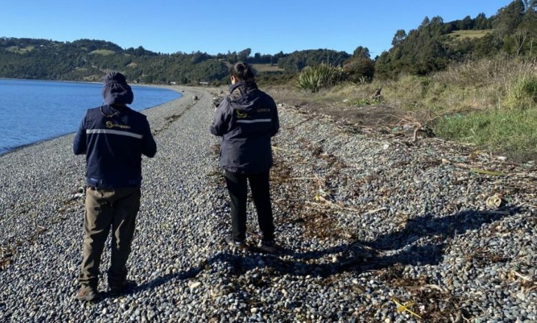 SERNAPESCA fiscalizó limpieza de residuos acuícolas en playa de Detif