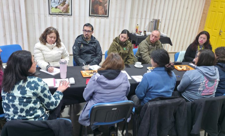 Dalcahue fortalece el trabajo por la inclusión