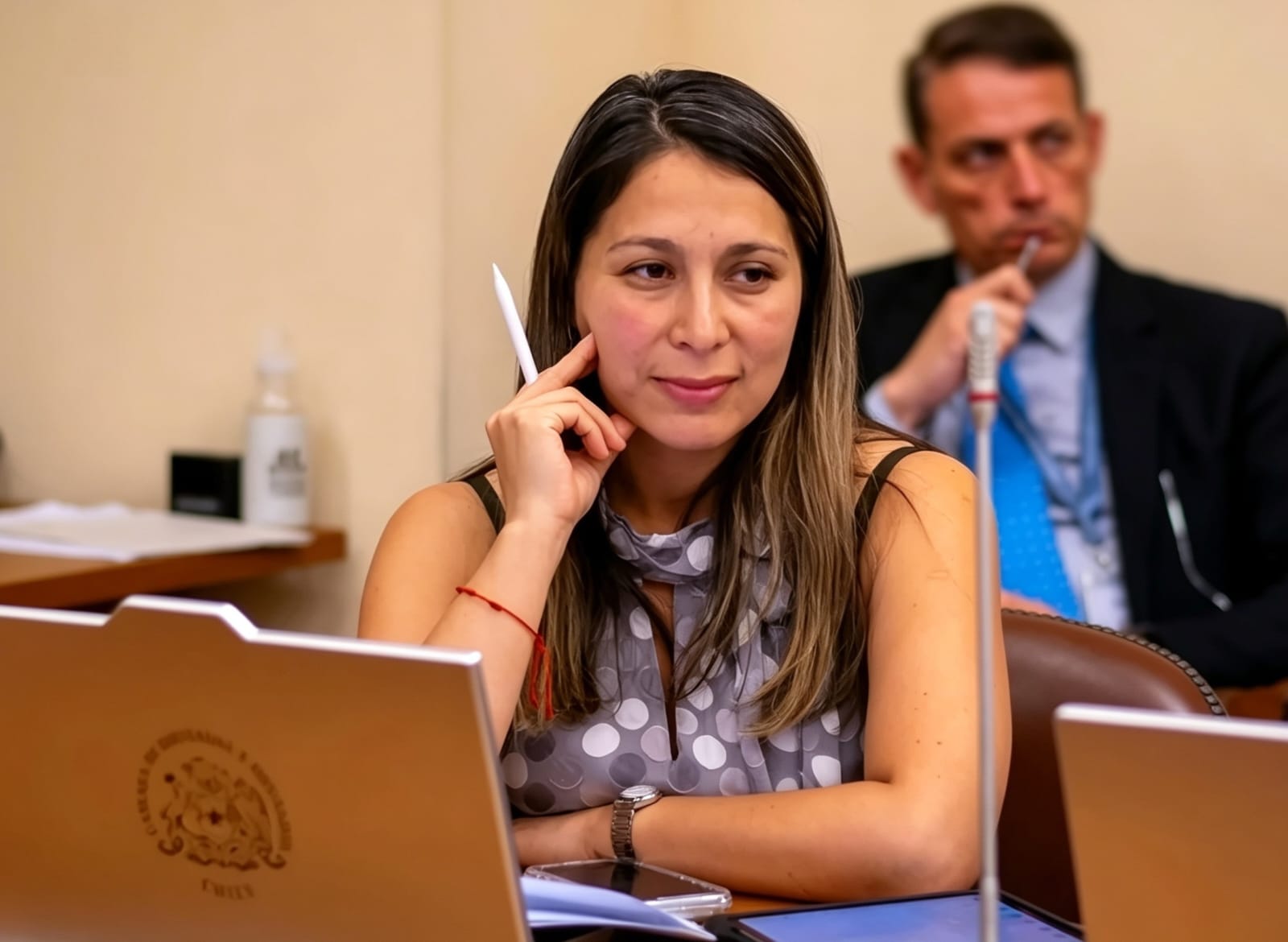 Diputada Muñoz llama a promover el uso de leña ante la escasez de pellet: «Menos prohibición y más fiscalización»