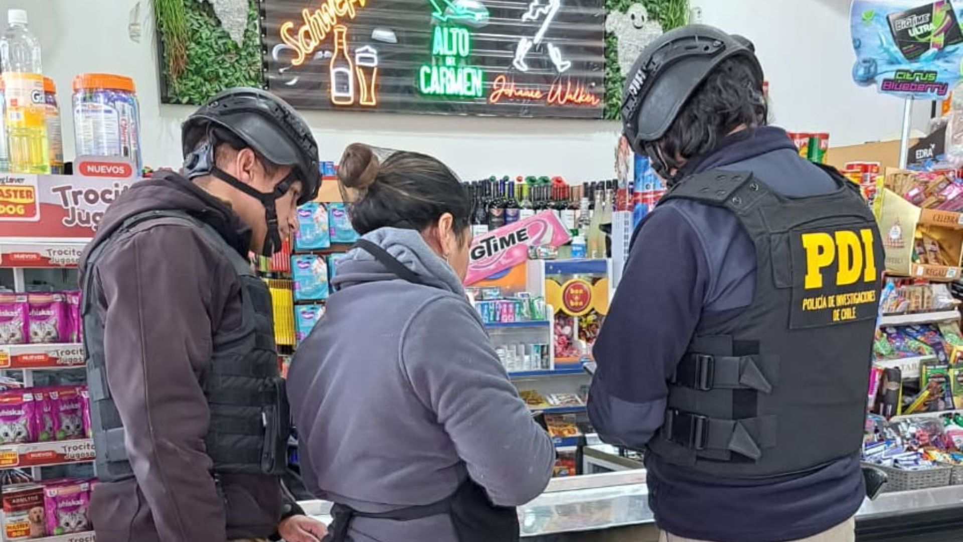 PDI detecta a nueve extranjeros en situación irregular tras fiscalización en Los Lagos