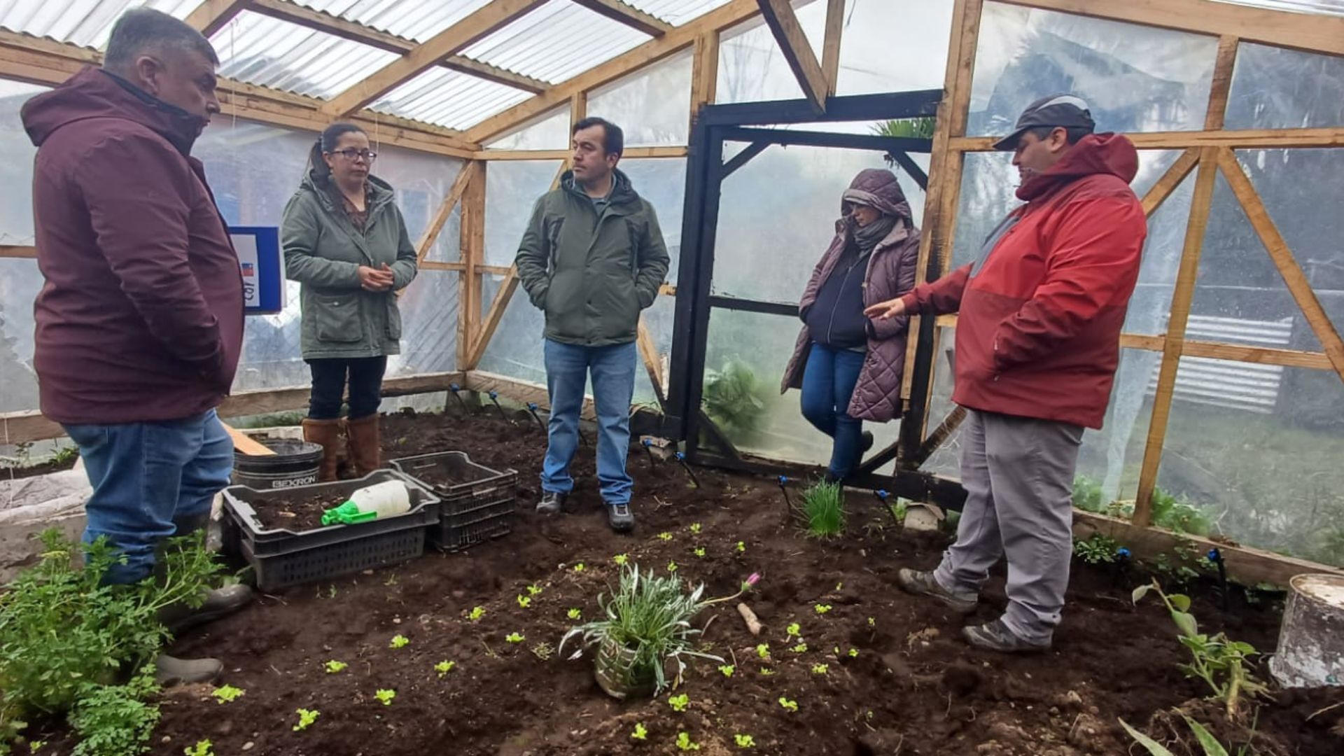 Apoyo al riego fortalece la agricultura campesina en Dalcahue