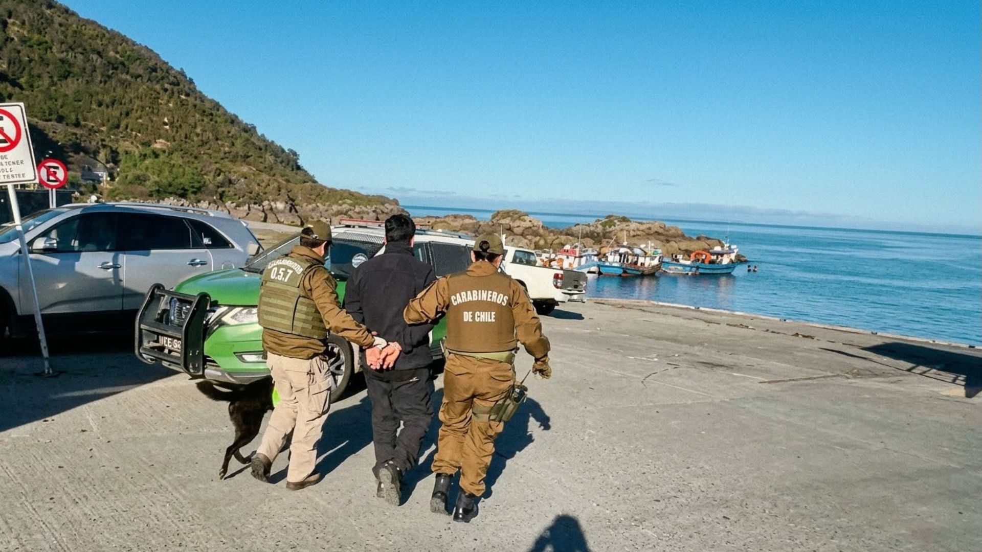 Perro detector permitió descubrir marihuana oculta en un termo durante fiscalización en Los Lagos