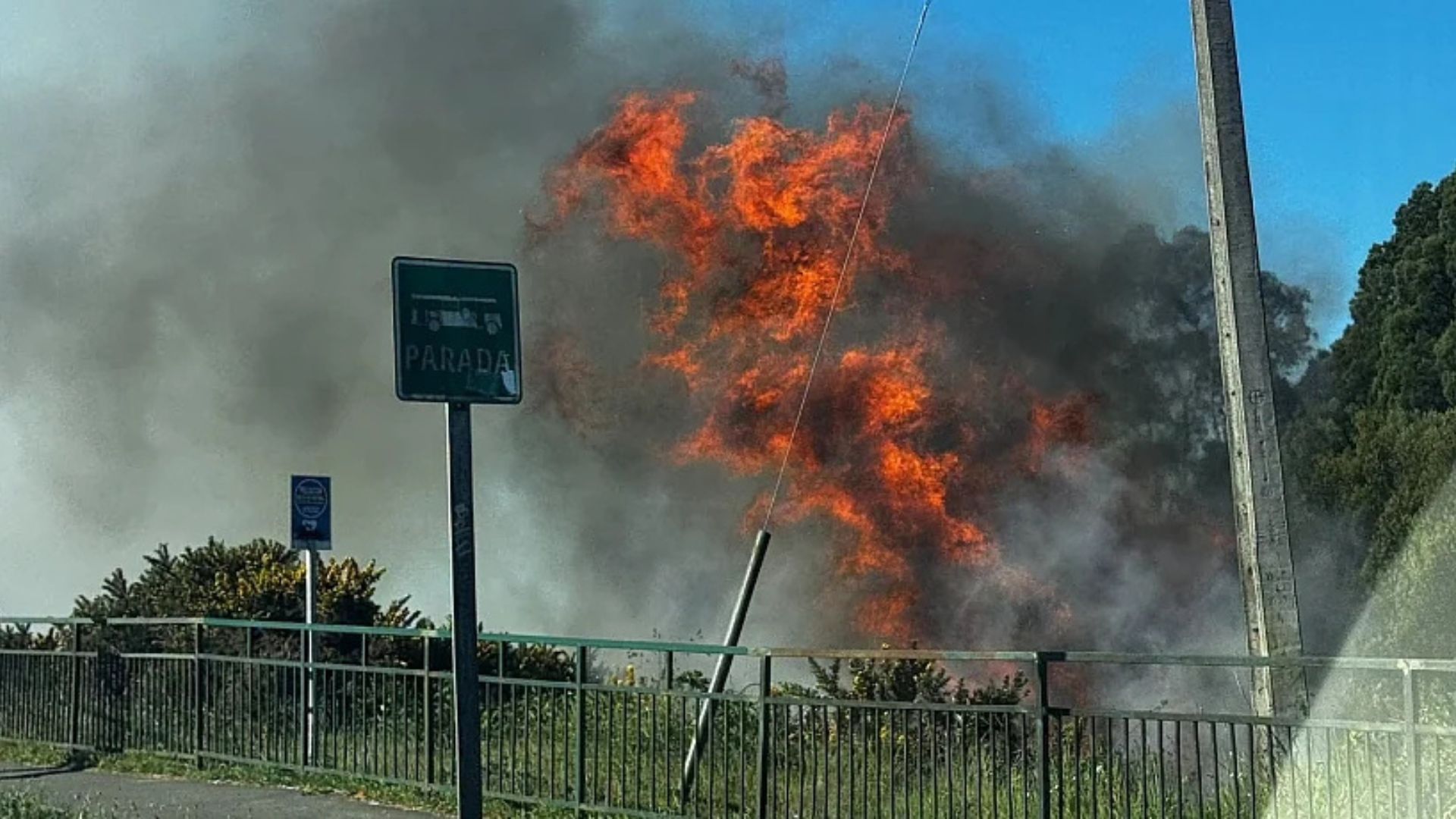 Puerto Montt registró su primera alarma de incendio forestal de la temporada en el sector Las Quemas