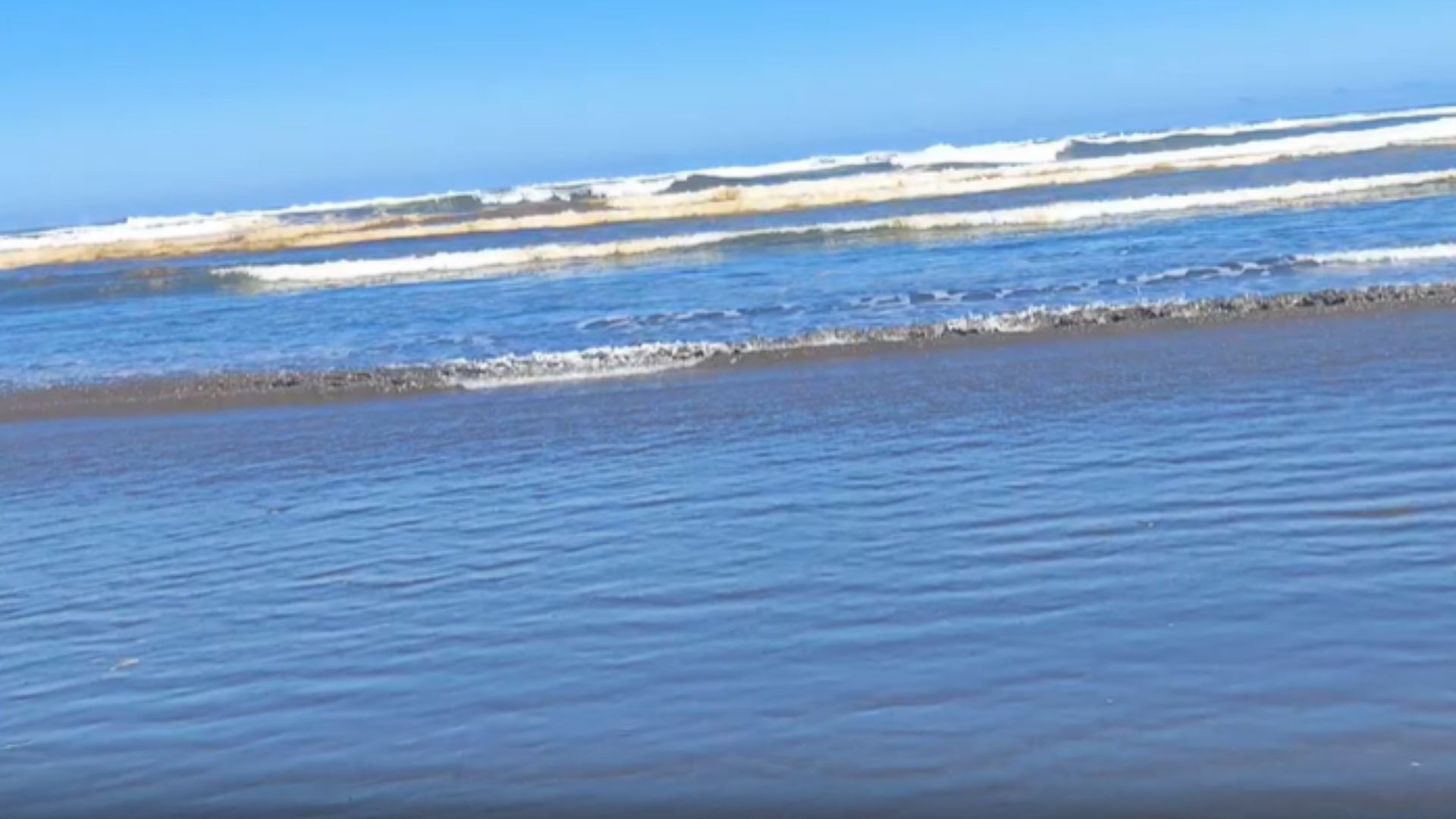 Denuncian posible contaminación marina en Chanquín y alertan por impacto en banco de machas