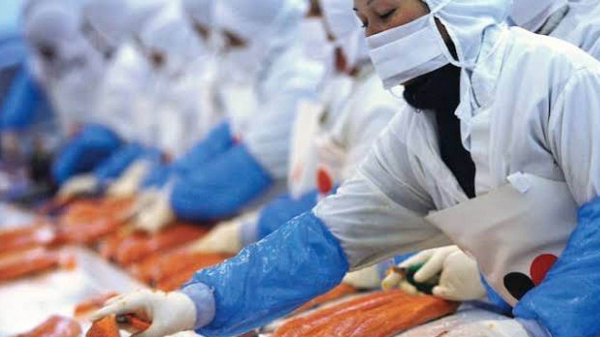Los Lagos pierde 3.820 empleos en un año y las mujeres enfrentan el mayor retroceso laboral