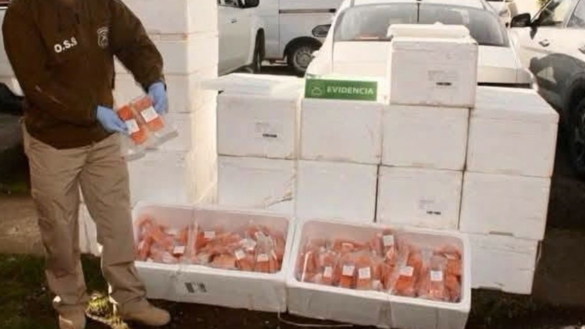 Recuperan millonario cargamento de salmón robado que era comercializado en Angelmó
